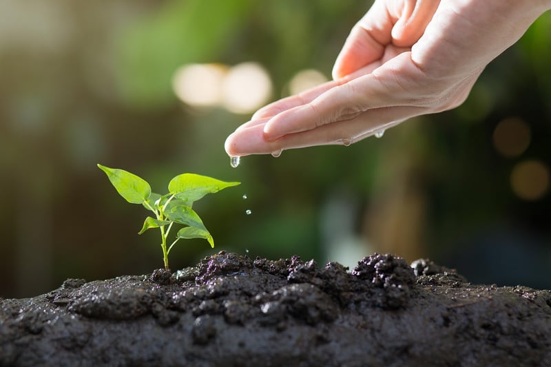 Soil Care