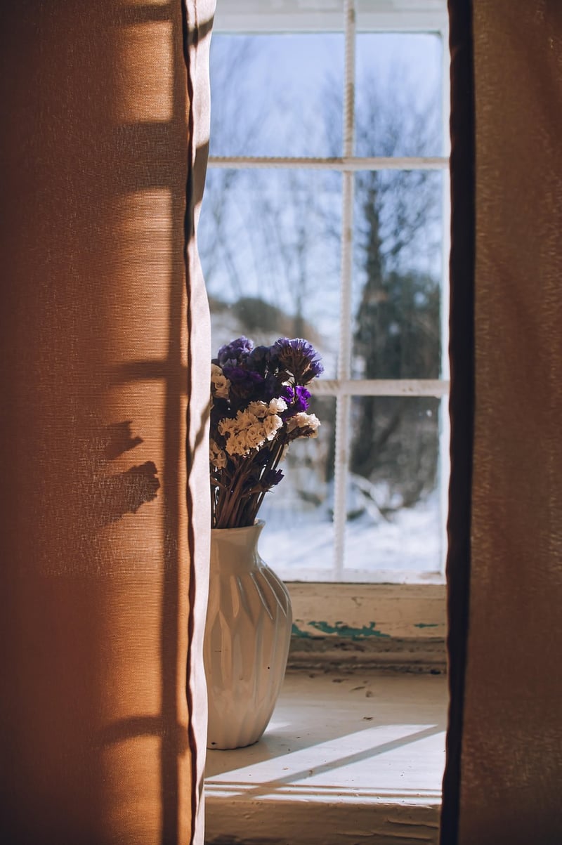 Window boxes